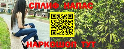 гашик Новозыбков