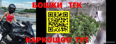 гашик Новозыбков