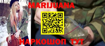 гашик Новозыбков