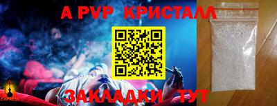 гашик Новозыбков