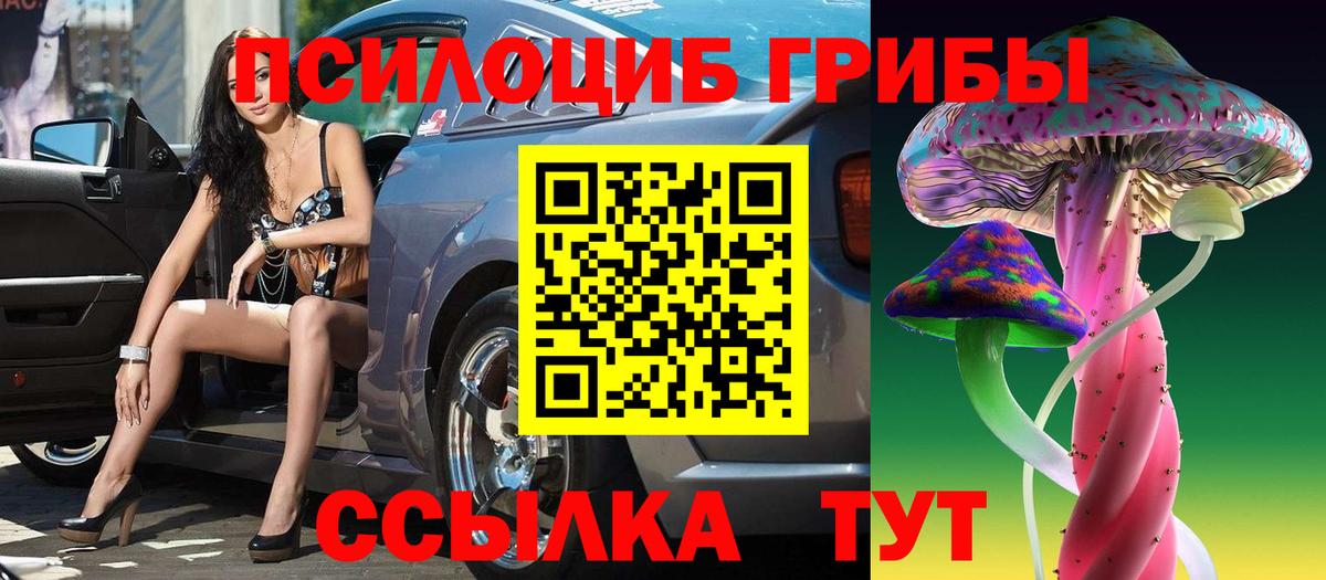 Тихвин  Псилоцибиновые грибы GOLDEN TEACHER  Вход с VPN  Галлюциногенные грибы Psilocybine cubensis 